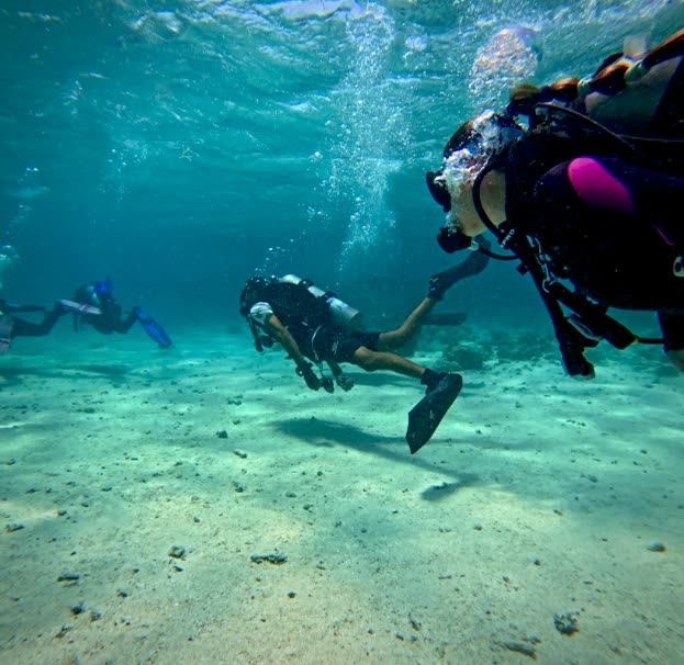 A group of divers descending together.