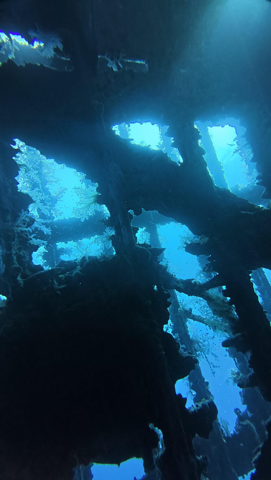 Looking out through the broken frames of the wreck toward bright blue water.